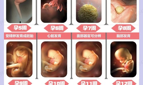 怀孕后屁股老是出汗网-分享怀孕后屁股有血怎么回事，孕妇屁股出汗是胎气吗知识库